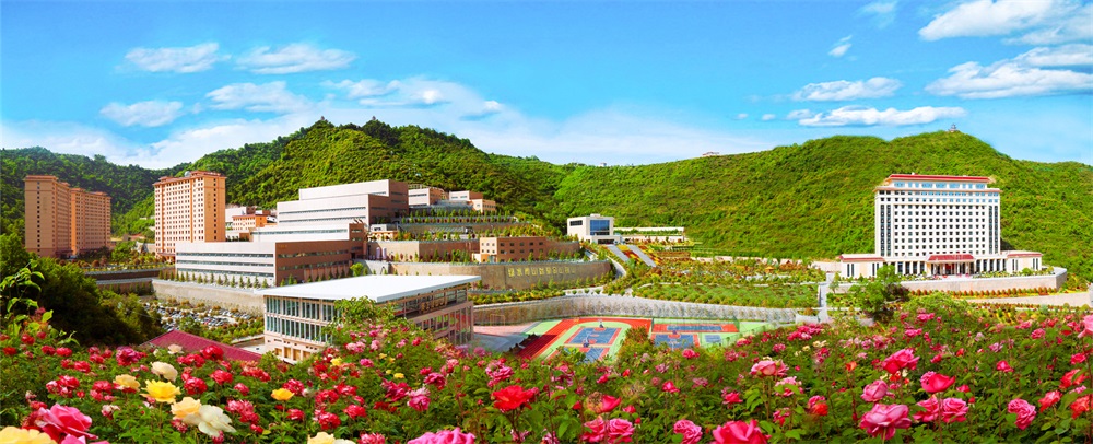 三季有花、四季常青的金徽礦區(qū)-p2.jpg