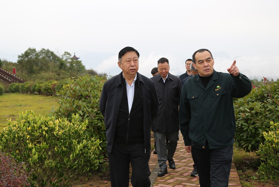19-2021年10月，原國土資源部副部長汪民蒞臨公司調(diào)研。.jpg