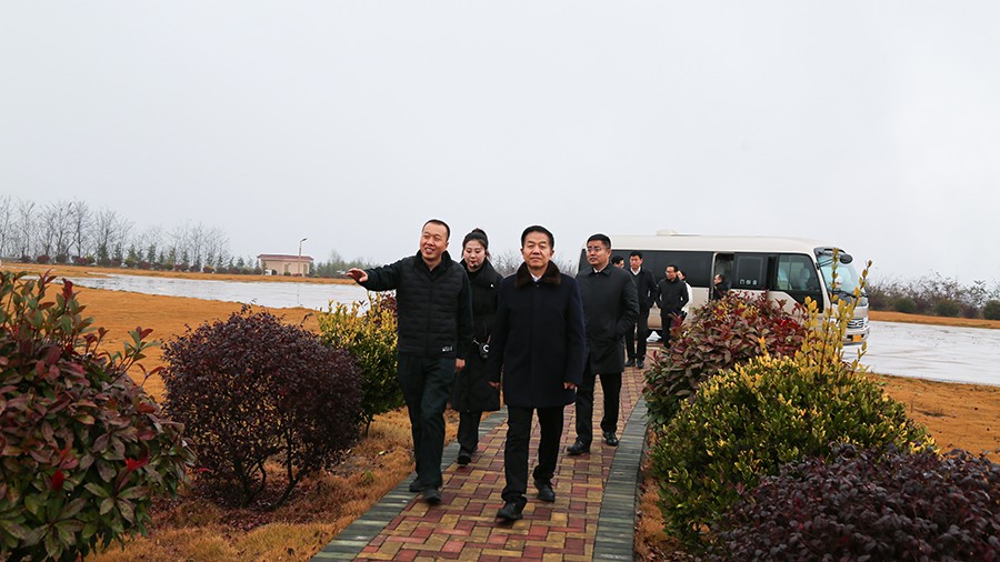 45-2020年12月，省高級人民法院黨組成員、副院長任建國蒞臨金徽股份調(diào)研知識產(chǎn)權(quán)司法保護工作。.jpg